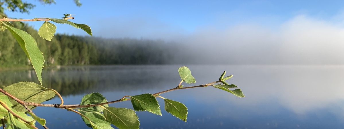 Messeforums klimatneutrala mässmonter respekterar naturen.