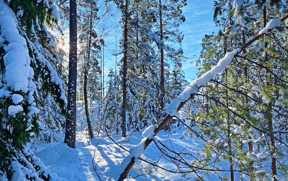 Att skydda naturen är viktigt för Messeforum.